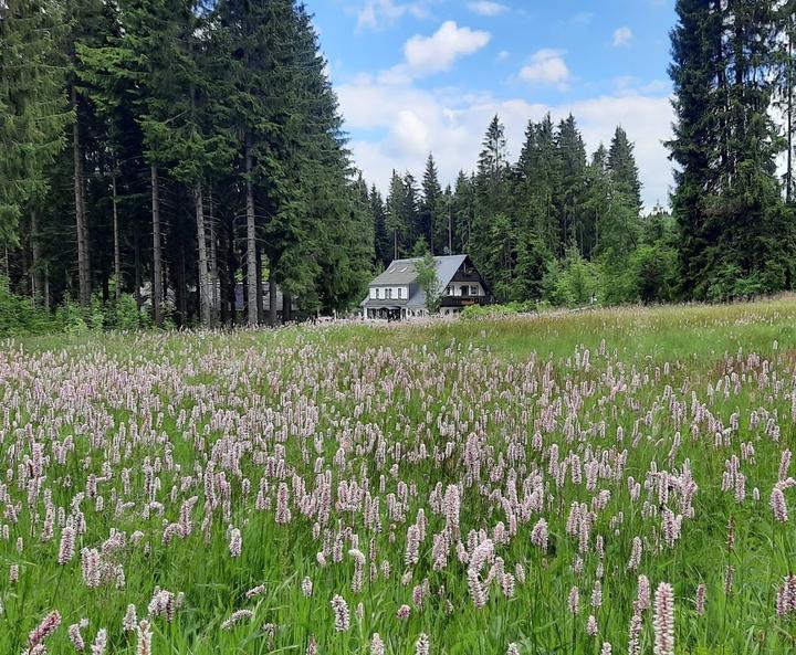 Gaststatte und Pension Henneberg